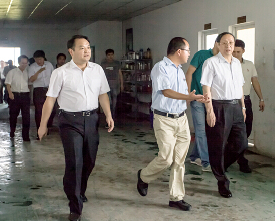 安徽省委副书记、省长王学军莅临安徽开运体育视察