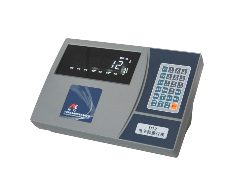 仪表 D12-YF